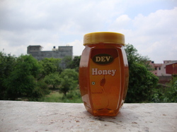 Bottle Jar & Packed Honey