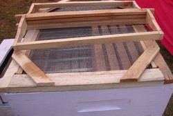 Beehive With Frame and Inner Cover